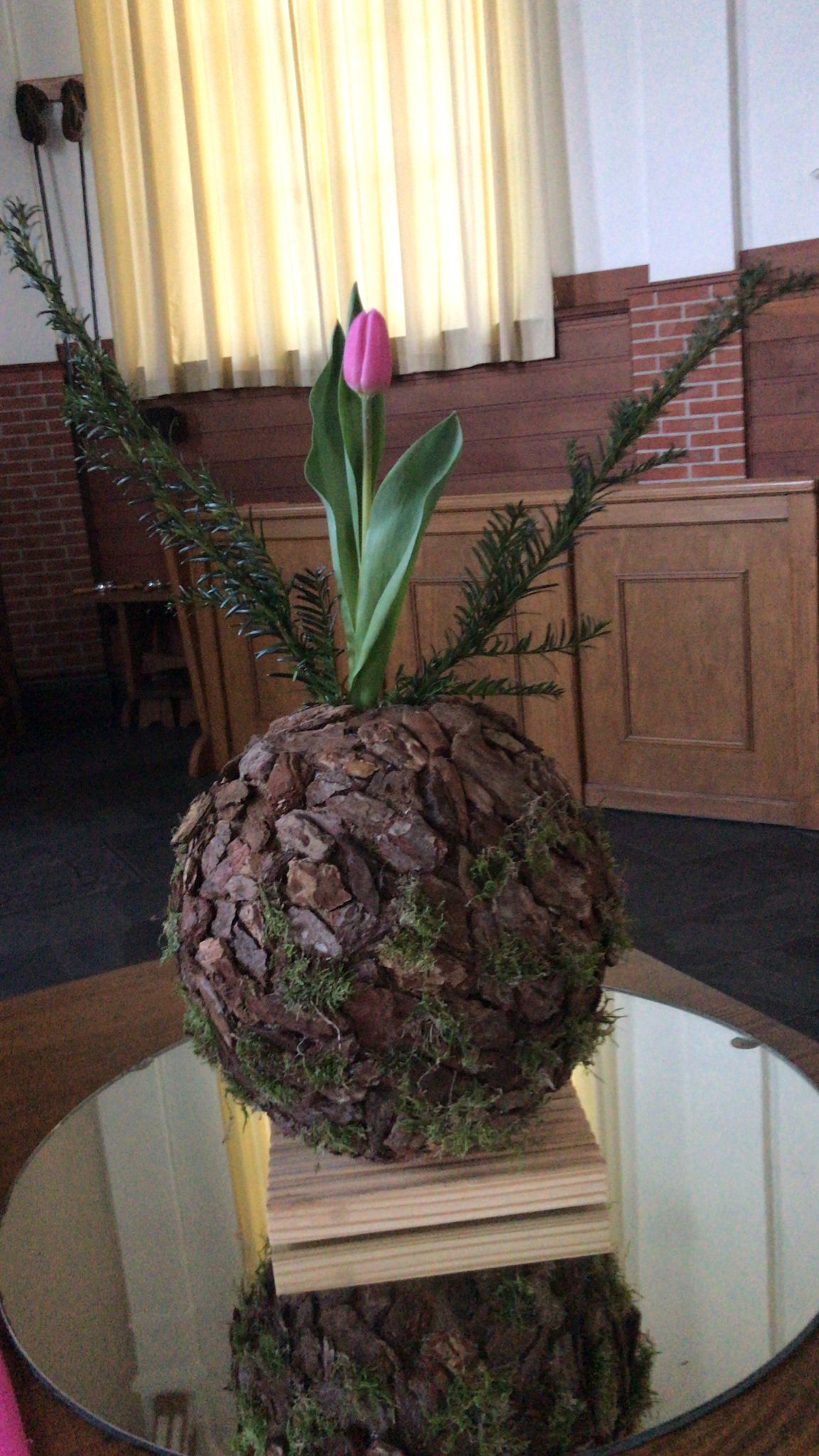 Liturgische schikking 4e zondag veertigdagentijd